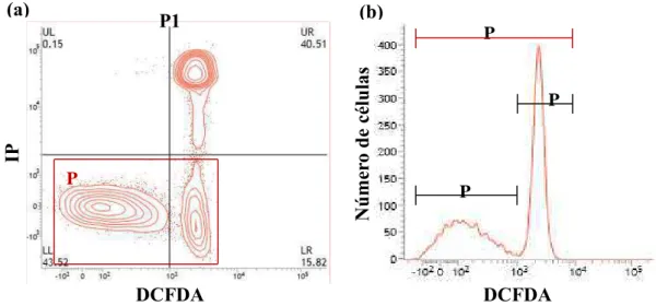 Figura 2: (a) Gráfico de contorno (contour plot) gerado pela análise por citometria de  fluxo,  em  amostra  corada  com  IP  e  DCFDA,  permitindo  a  classificação  de  espermatozoides em quatro categorias: LL, células com membrana plasmática íntegra  se