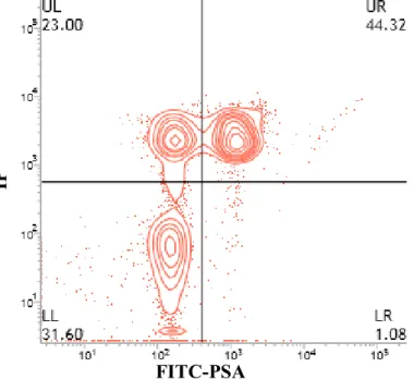 Figura 3: Gráfico de contorno (contour plot) gerado pela análise por citometria de fluxo, em  amostra corada com IP e FITC-PSA, permitindo a classificação de espermatozoides em quatro  categorias:  LL,  células  com  membrana  plasmática  e  acrossomal  ín