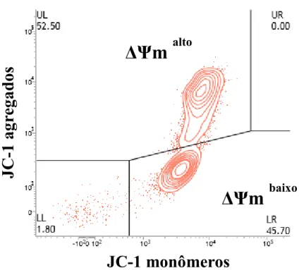 Figura 4: Gráfico de contorno (contour plot) gerado pela análise do sêmen caprino por  citometria  de  fluxo,  em  amostra  corada  com  JC-1,  permitindo  a  classificação  de  espermatozoides com alto potencial mitocondrial (UR,  ΔΨm  alto ) e baixo pote