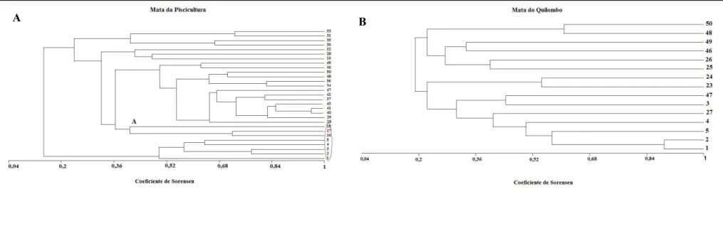 Figura 13. Dendrograma de similaridade baseado na  presença/ausência das espécies arbóreas com mais de 10 indivíduos em cada fragmento