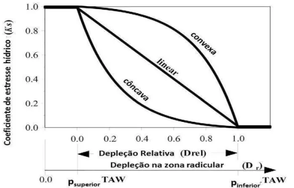 Figura 4 - Exemplos dos coeficientes de estresse (Ks) em função da resposta a redução  relativa do conteúdo de água no solo