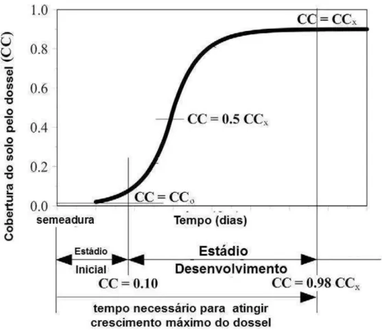 Figura  5  -  Representação  esquemática  do  desenvolvimento  do  dossel  durante  o  crescimento  exponencial  e  as  fases  de  decaimento  exponencial