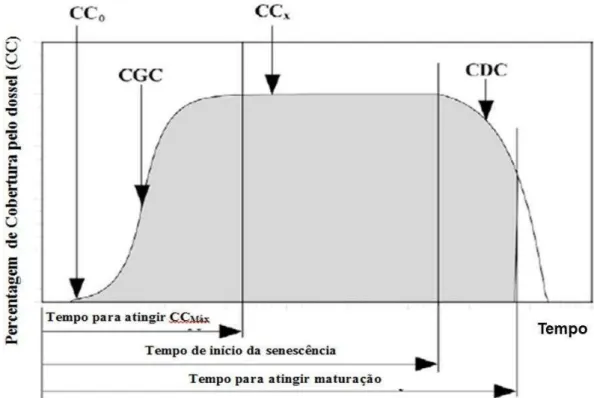 Figura 6 - Exemplo da variação da cobertura do dossel ao longo do ciclo da cultura sob  condições  sem  estresse