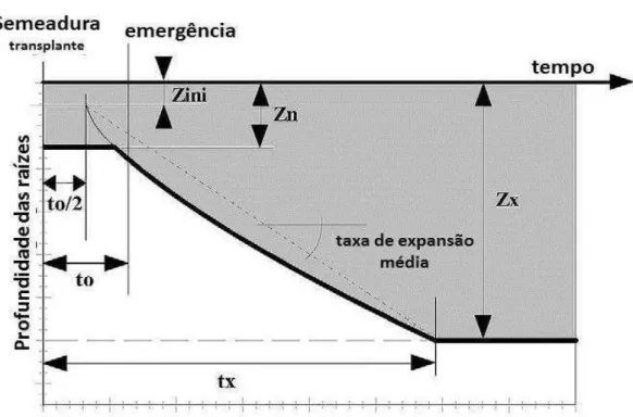 Figura 7 - Representação esquemática do enraizamento profundo ao longo do tempo.  Fonte: Steduto et al