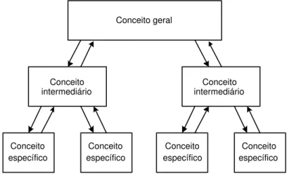 Figura 3: Organiza¸c˜ao de conceitos na estrutura cognitiva, segundo Ausubel Este processo de ”ancoragem”da nova informa¸c˜ao resulta em crescimento e  modi-fica¸c˜ao do conceito subsun¸cor