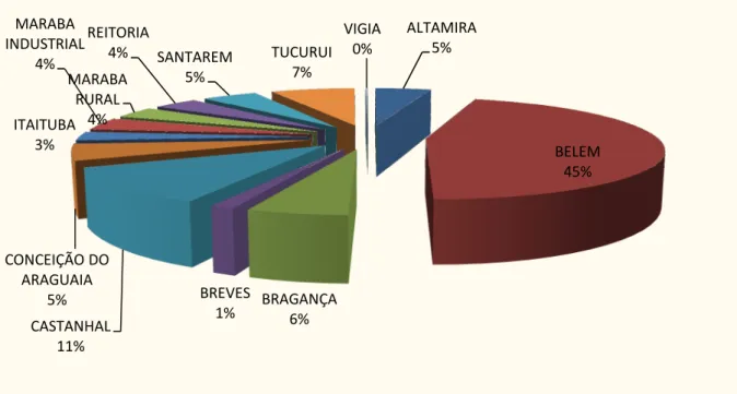 Gráfico 4 – Percentual de participação dos professores lotados nos campi no quadro geral (docentes) do IFPA  ALTAMIRA 5% BELEM 45% BRAGANÇA 6%BREVES CASTANHAL 1% 11% CONCEIÇÃO DO ARAGUAIA5%ITAITUBA3%MARABA INDUSTRIAL4% MARABA RURAL4% REITORIA4% SANTAREM5% 