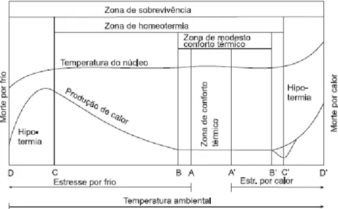 Figura 1 - Representação esquemática simplificada das temperaturas    efetivas ambientais criticas (Fonte: Bianca, 1968, apud Baêta e Souza,  2010) 