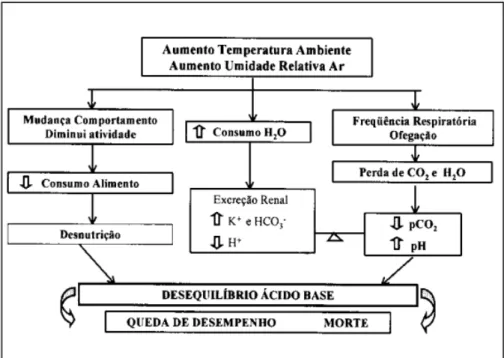 Figura 2  -   Respostas fisiológicas das aves ao estresse calórico. 