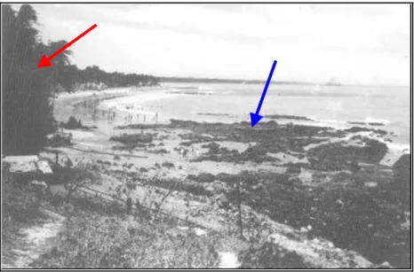 Figura 16 – Praia de Iracema em 1935. Seta azul: rochas de praia. A seta vermelha mostra  vegetação litorânea