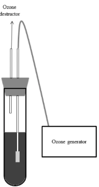 Figure 3. Scheme of ozone application system  