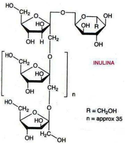 Figura 4. Estrutura química da inulina. Fonte: Santos et al. (2012).  