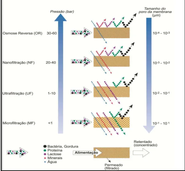 Figura 01 - Características das operações de separação por membranas  Fonte: Bylund, 1995