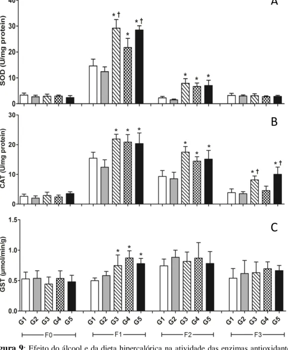 Figura 9:  Efeito do álcool e da dieta hipercalórica na atividade das enzimas antioxidantes,  Superóxido Dismultase (A) Catalase (B) e Glutationa-S-Transferase (C) em feridas cutâneas  de ratos wistar
