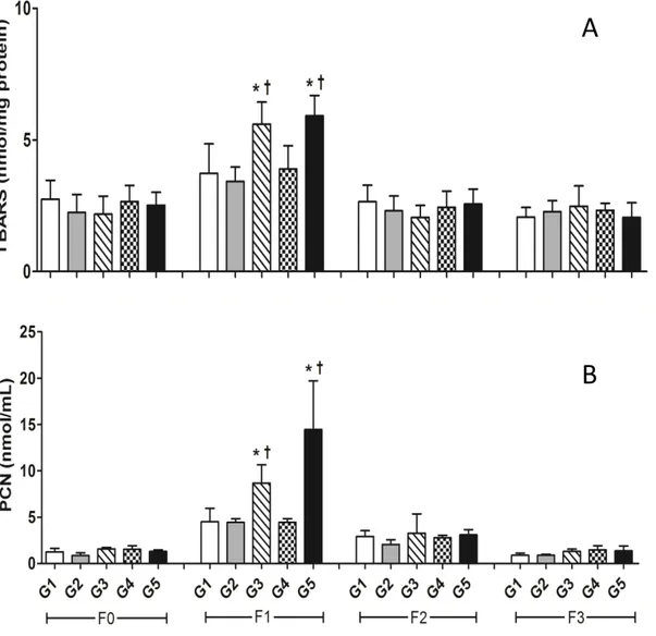 Figura 10:  Efeito  do álcool  e  da dieta hipercalórica nos níveis de TBARS (A)  e Proteínas  Carboniladas  (B)  no  tecido  cicatricial  de  feridas  cutâneas  em  ratos  Wistar