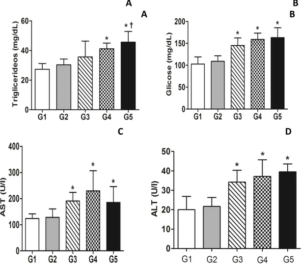 Figura  11:  Efeito  do  álcool  e  da  dieta  hipercalórica  nos  níveis  de  triacilgliceróis  (A)  Glicose  (B)  AST  (C)  e  ALT  (D)  no  soro  de  ratos  Wistar