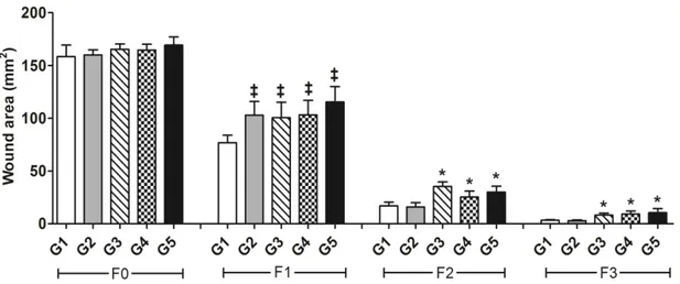 Figura 12: Efeito do álcool e da dieta hipercalórica sobre a área de feridas cutâneas de ratos  Wistar