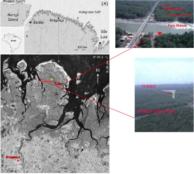 Figura 9 – Localização geográfica do município de Bragança, e  a torre  micrometeorológica  (Fonte: WESSEL &amp; SMITH, 1996; LARA, 2003).