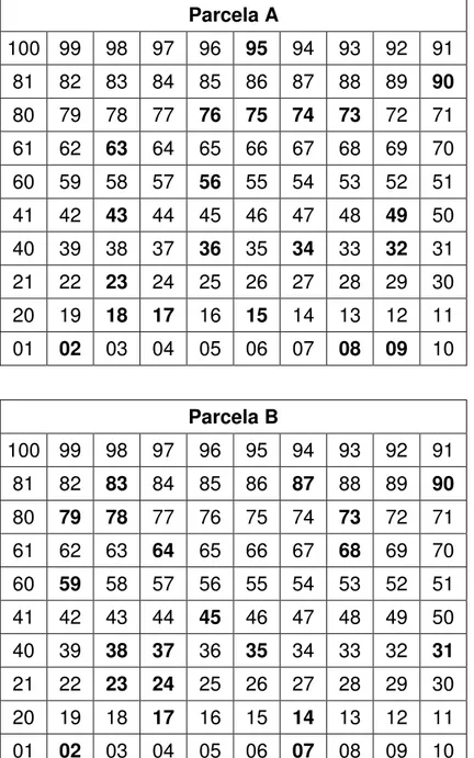 Tabela 3 – Pontos sorteados (em negrito) nas parcelas A e B onde foram  instalados os coletores de liteira (N = 40)