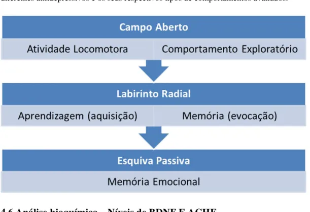 Figura 10:  Sequência  dos  modelos  experimentais  aplicados  nos  grupos de  ratos  usuários de  diferentes antidepressivos e os seus respectivos tipos de comportamentos avaliados