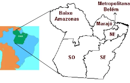 Figura 2 – Localização geográfica do Estado do Pará e mesorregiões. 