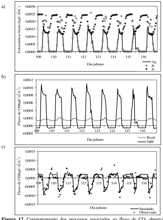 Figura 12. Comportamento dos processos associados ao fluxo de CO 2  observado e  simulado