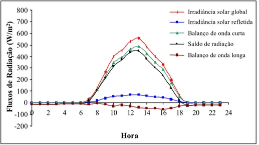 Figura 9 - Balanço de radiação médio horário em janeiro de 1996.  