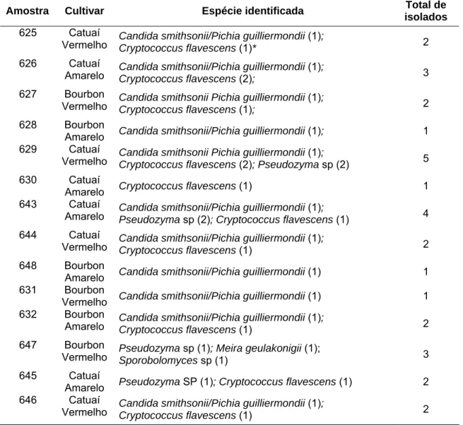 Tabela 4 – Identificação por meio de sequência de rDNA 26S e distribuição  taxonômica dos isolados de leveduras obtidos de frutos de café  cereja de diferentes cultivares de Coffea arabica L