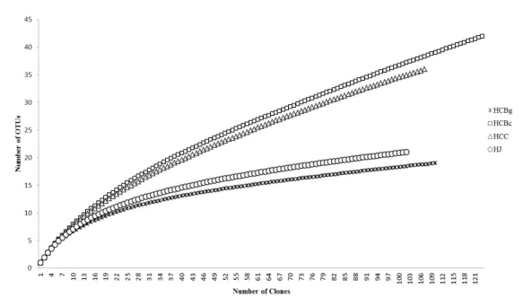 Figure  3  Rarefaction  curves  for  clone  libraries  based  upon  the  ITS1-5.8S-ITS2 