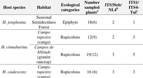 Table 1 Mycorrhizal fungi from tropical orchids sampled in the Atlantic Forest. All 