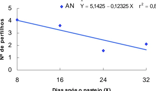 Figura 4 - Número de aparecimento de novos perfilhos aéreos (AN), por  touceira, em função dos dias (X) após o pastejo