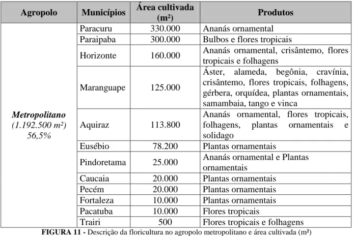 FIGURA 11 - Descrição da floricultura no agropolo metropolitano e área cultivada (m²)   Fonte: SEAGRI-CE apud Bianchi et al