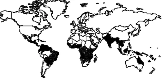 FIGURA  1    Distribuição  do  mosquito  Aedes  aegypti  no  mundo  (Fonte:  WORLD HEATH ORGANIZATION, 1997)