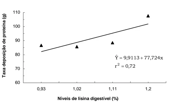 Figura 3 - Níveis de lisina digestível e taxa de deposição de proteína em  pintos de corte machos de 1 a 21 dias de idade