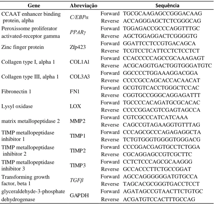Tabela 2  – Sequência dos primers referentes aos genes estudados:  