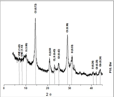 Figura 19. DRX argila natural dos LVA (Perfil 10): VHE: vermiculita com hidróxi 