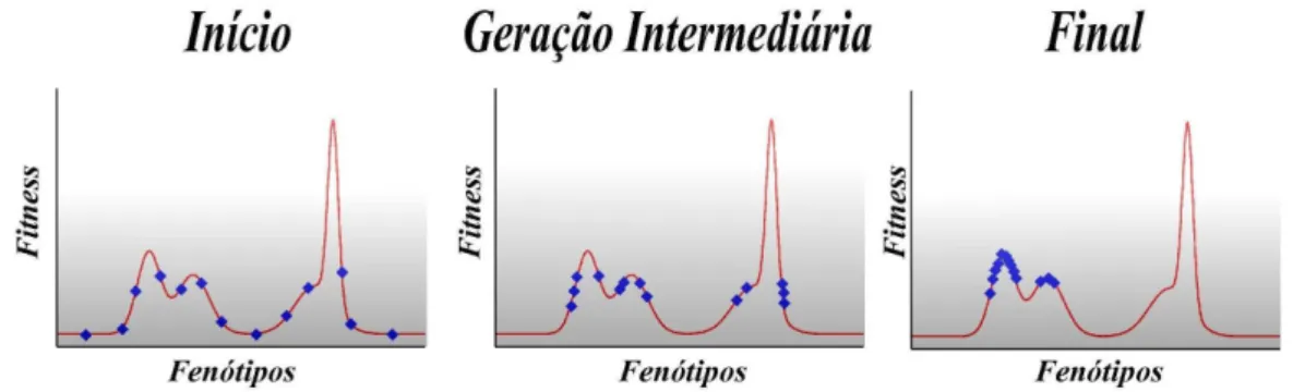 Figura 3.3: Evolu¸c˜ao sobre um landscape adaptativo. A evolu¸c˜ao pode ser vista como um processo de subida sobre uma superf´ıcie em que temos uma dimens˜ao associada ao fitness e todas as outras representando os tra¸cos gen´eticos ou fenot´ıpicos