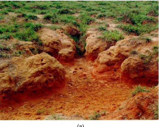 Figura  6 – Com  o  desmatamento e uso inadequado, a chuva erode o solo e  esculpe pequenas ravinas (a)