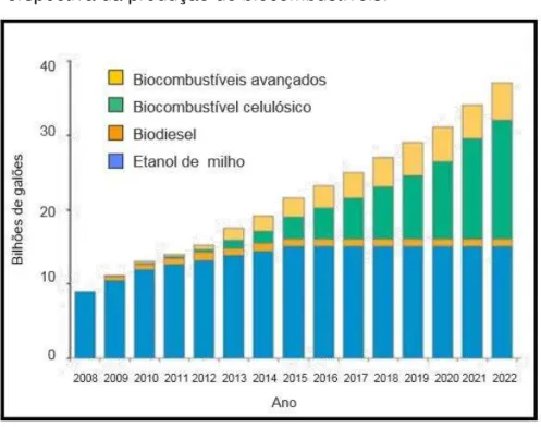 Figura 1 - Perspectiva da produção de biocombustíveis. 