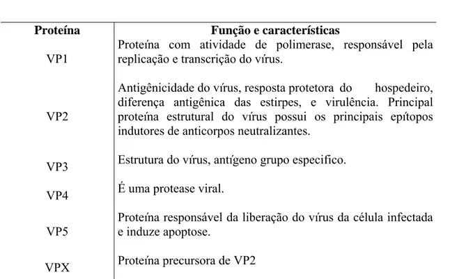 Tabela 1. Principais proteínas virais sua função e características. 