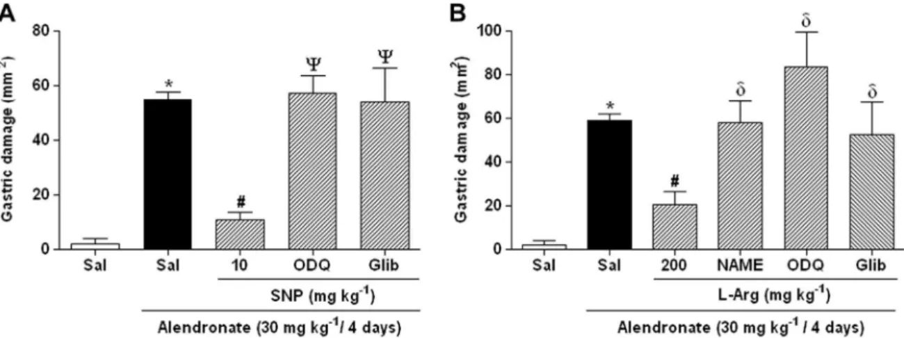 Fig. 4. Role of soluble guanylate cyclase (sGC) and ATP-sensitive K + channels (K ATP ) in the gastroprotective effect of sodium nitroprusside (SNP) and L -arginine ( L -Arg) in a rat model of alendronate-induced gastric damage