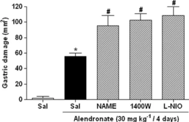 Fig. 5. Role of nitric oxide synthase (NOS) in alendronate-induced gastric damage.