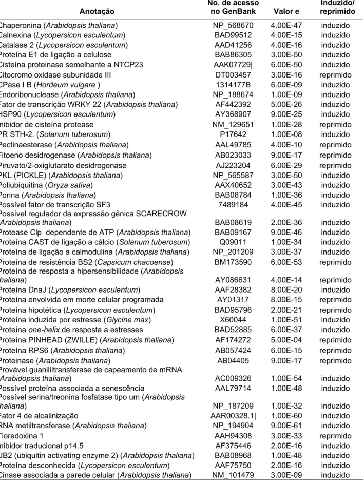 Tabela 3. Genes que tiveram a expressão diferencial validada por macroarranjos.   Anotação  No