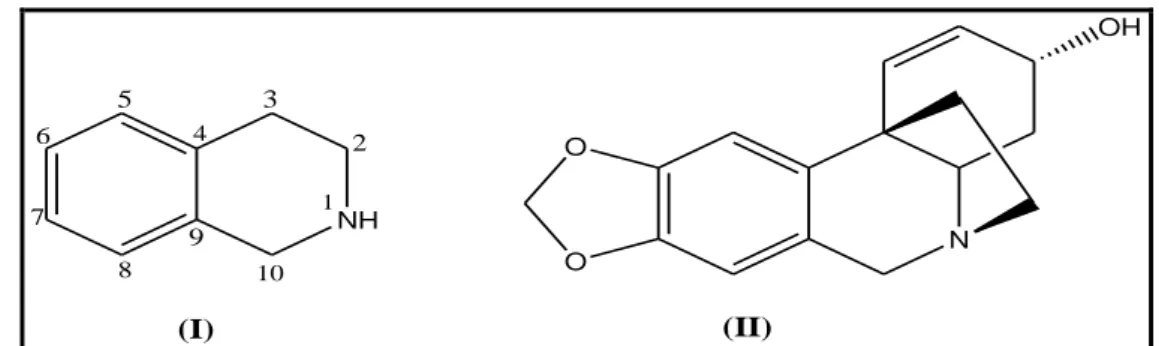 Figura 2 Estrutura do núcleo isoquinolínico (I) e do alcaloide crinina (II). 