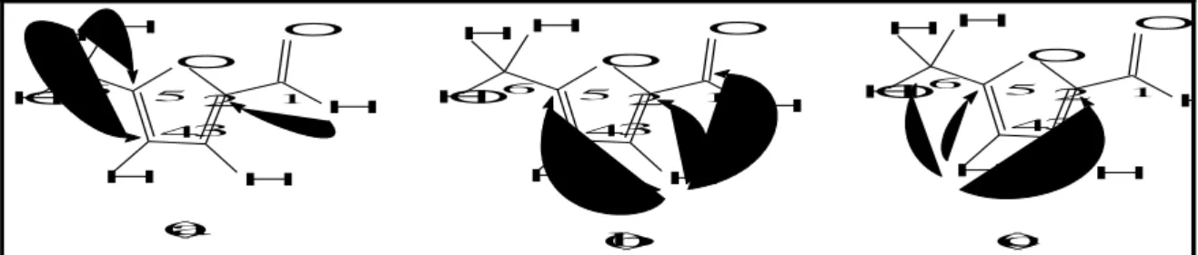 Figura 6  –  Principais correlações a longa distância ( 1 H- 13 C), observadas no espectro 2-D HMBC para HS-1