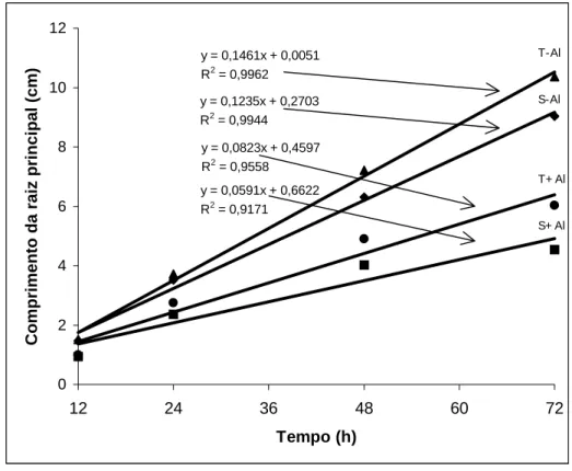 Figura 1 – Comprimento da raiz principal em dois cultivares de milho  submetidos a diferentes tempos de exposição ao alumínio