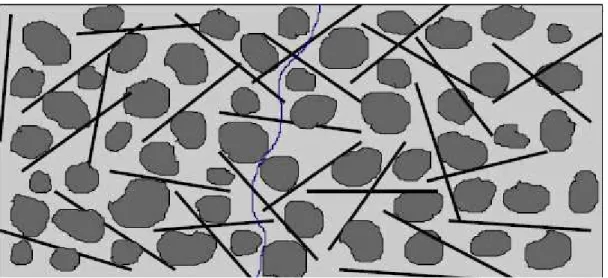 Figura 2.21: Concreto reforçado com fibras onde não há compatibilidade dimensional  entre estas e o agregado graúdo: FIGUEIREDO (2000)