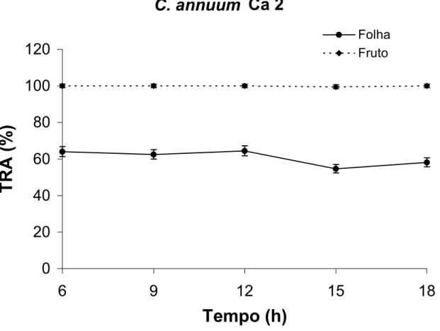 Figura 6: Teor relativo de água de frutos no estádio verde-maduro e folhas de  Capsicum annuum (Ca 2) ao longo de 12 horas