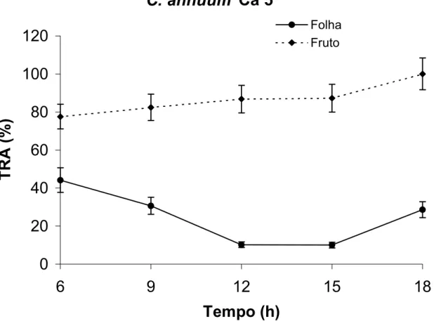 Figura 7: Teor relativo de água de frutos no estádio verde-maduro e folhas de  Capsicum annuum (Ca 5) ao longo de 12 horas
