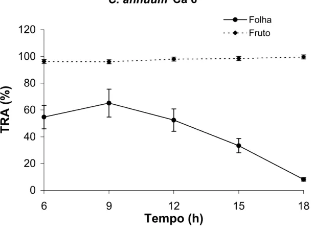 Figura 8: Teor relativo de água de frutos no estádio verde-maduro e folhas de  Capsicum annuum (Ca 6) ao longo de 12 horas