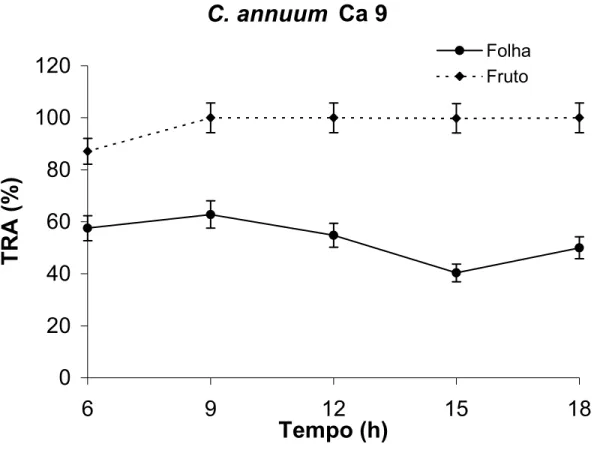 Figura 9: Teor relativo de água de frutos no estádio verde-maduro e folhas de  Capsicum annuum (Ca 9) ao longo de 12 horas